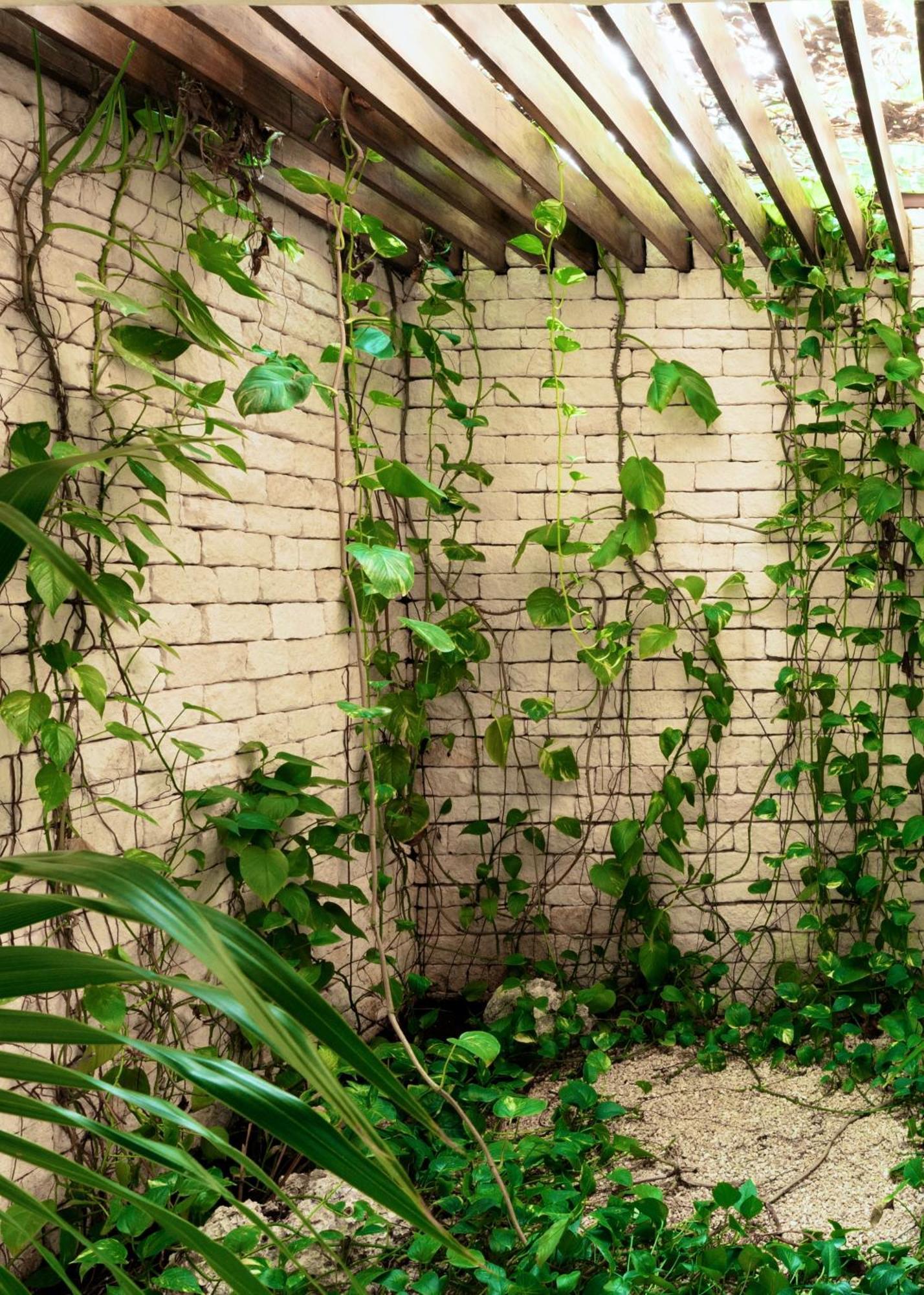 Jungle Keva Tulum Villa Lodges & Venue Exterior photo